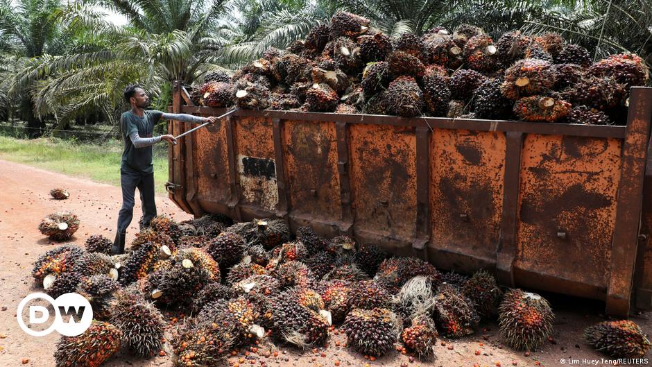 A woman and four children, ethnic Armenians from Nagorno-Karabakh, walk along the road from Nagorno-Karabakh to Kornidzor in Armenia.