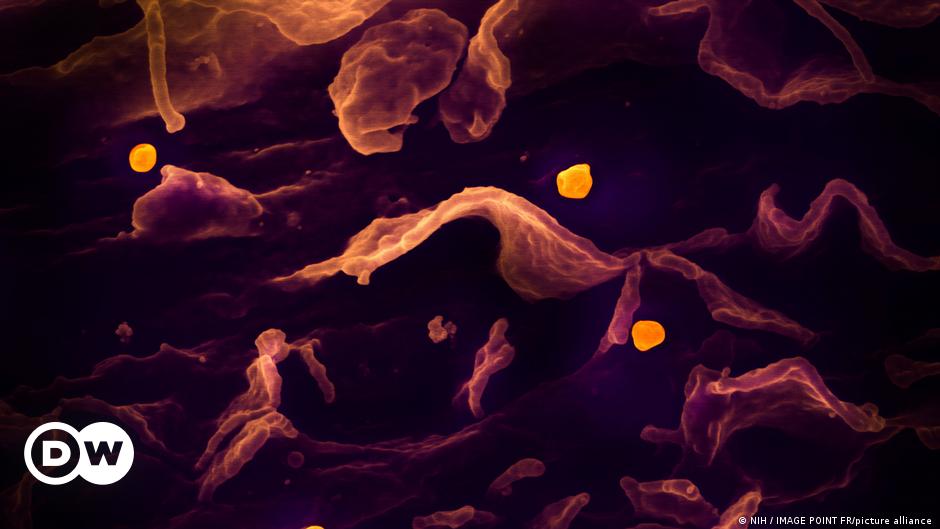 DW Mitarbeiterportrait