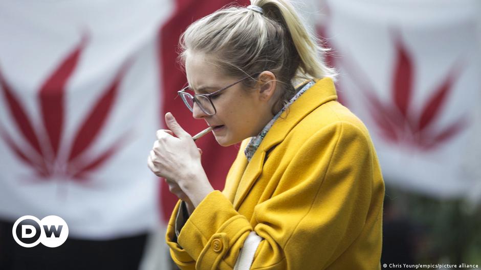 Cannabis en Canadá: resultados de salud mixtos después de la legalización