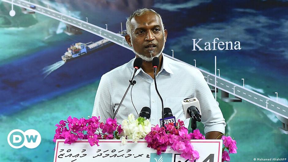 Sendung Global 3000 Fisch-Curry