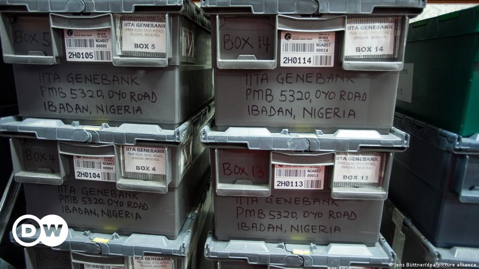 La bóveda de semillas de Noruega protege el suministro de alimentos de África