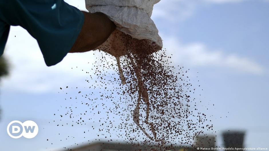 Combine harvesters crop a soybean field, in Brazil (Photo: YASUYOSHI CHIBA/AFP/GettyImages)