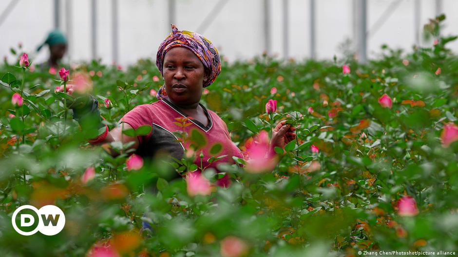 ¿El acuerdo comercial entre Kenia y la UE va por buen camino?