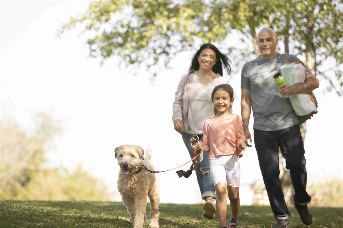 Resiliencia mental en una era de permacrisis: descubriendo las raíces saludables de la felicidad