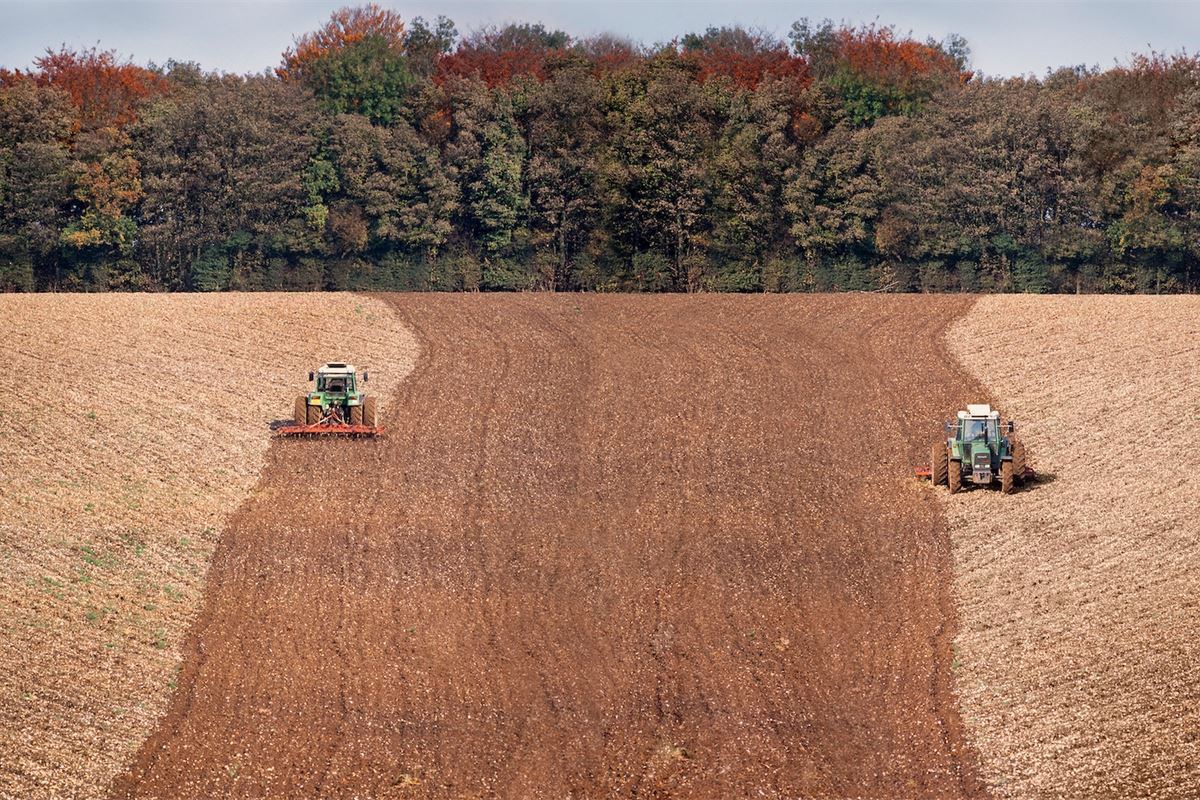 ¿Puede Ucrania ayudar a que el sector agrícola de la UE sea más ecológico?
