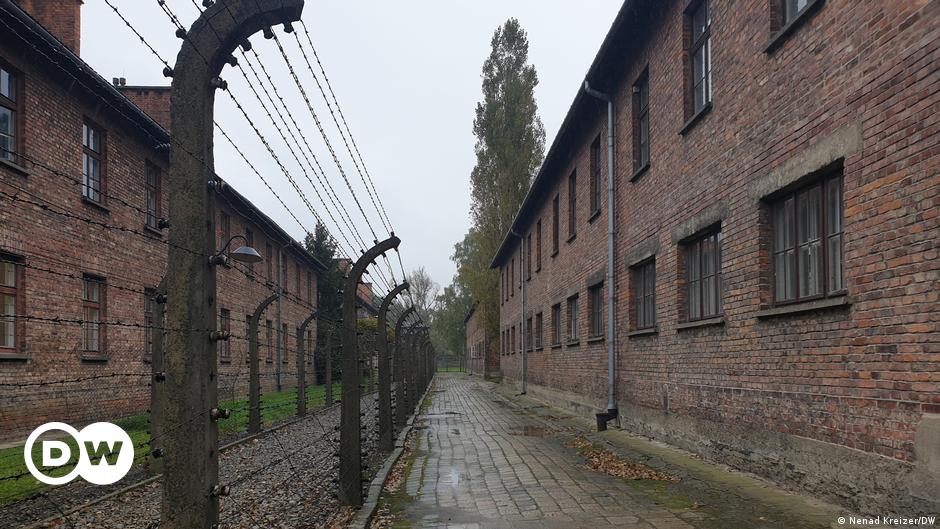 Visitors looking at photos exhibhited on a wall in Auschwitz-Birkenau