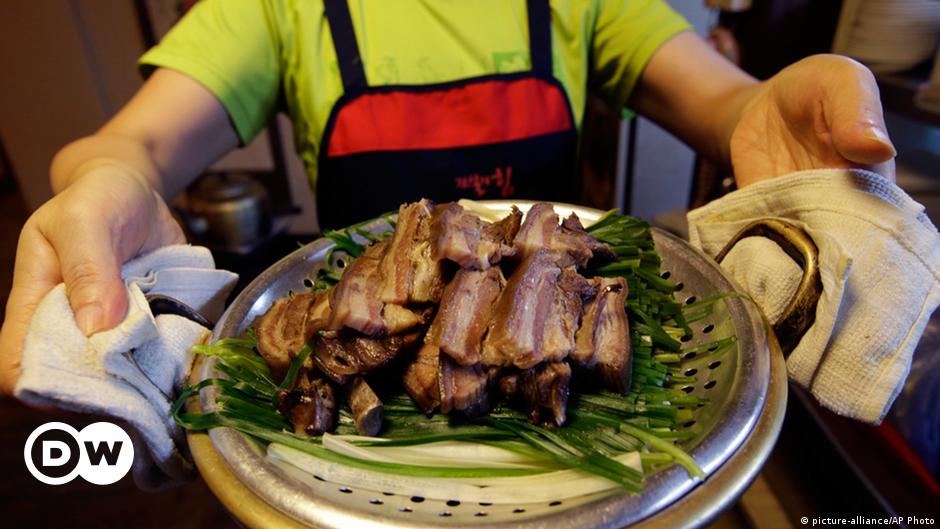 Dogs are seen inside a cage from a slaughter house in Tomohon