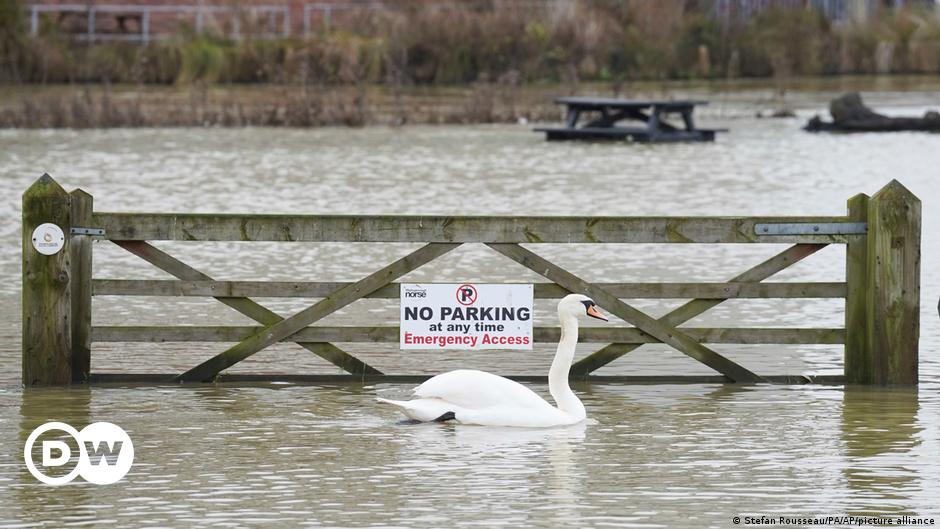 La paradoja de las inundaciones: ¿mala o buena para el medio ambiente?