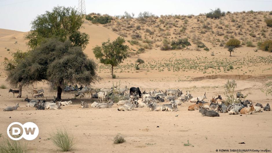 Umer Zada, father of Saas Umer at his son's funeral