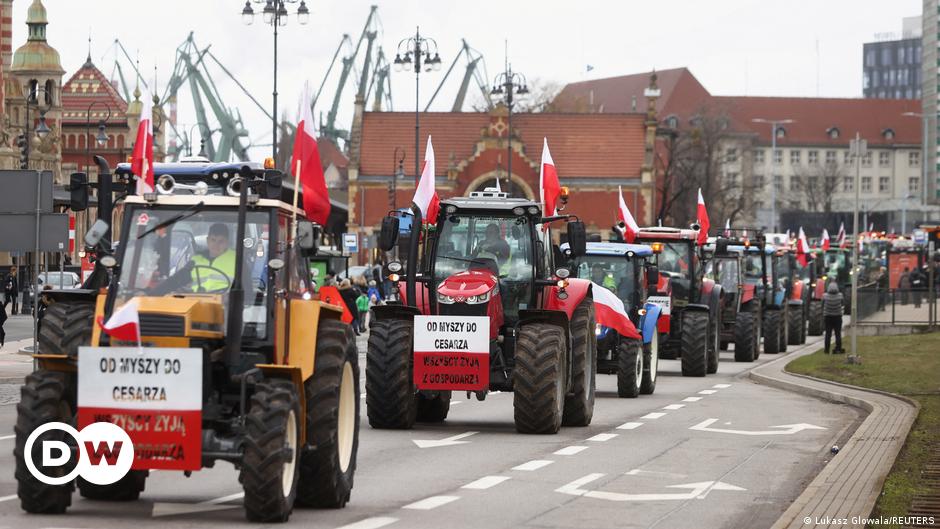 A gray-haired man (Jacek Lepiarz) stands in front of bookcases full of books