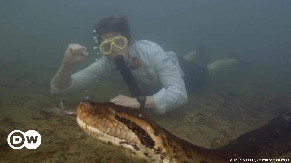 Hallam Mark Kommentarbild App