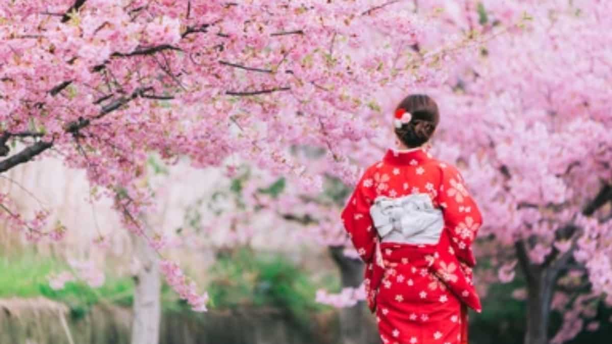 Japón lanza visas electrónicas para turistas indios.  Todo lo que necesitas saber