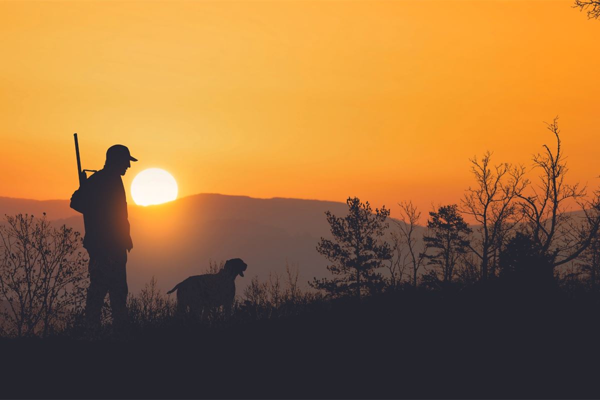 AFEMS e IEACS dan la bienvenida al nuevo Parlamento Europeo