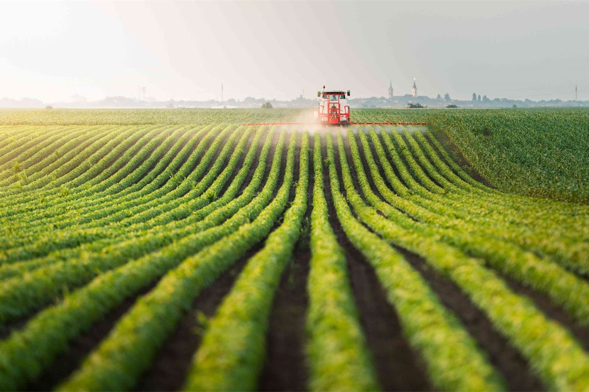 “Nuestra seguridad alimentaria depende de los agricultores europeos: debemos brindarles nuestro apoyo”
