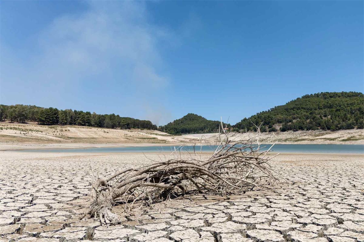 ¿Qué puede hacer la UE ante la crisis del agua?