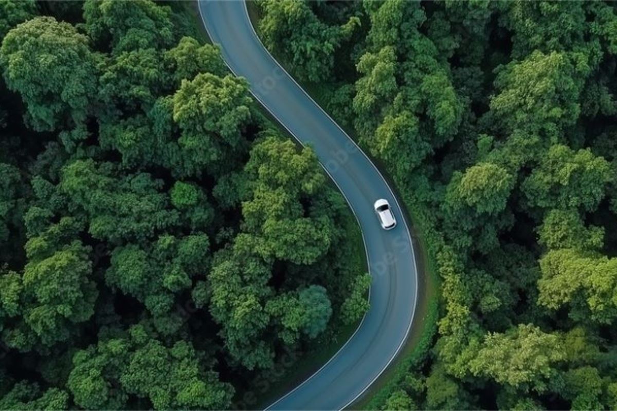 Descarbonizar el sistema energético europeo: el caso de los combustibles neutros en CO2