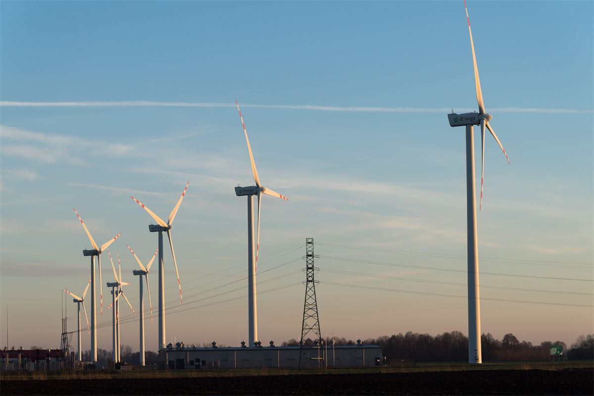 Op-ed: la UE debe corregir objetivos climáticos defectuosos, no duplicarse