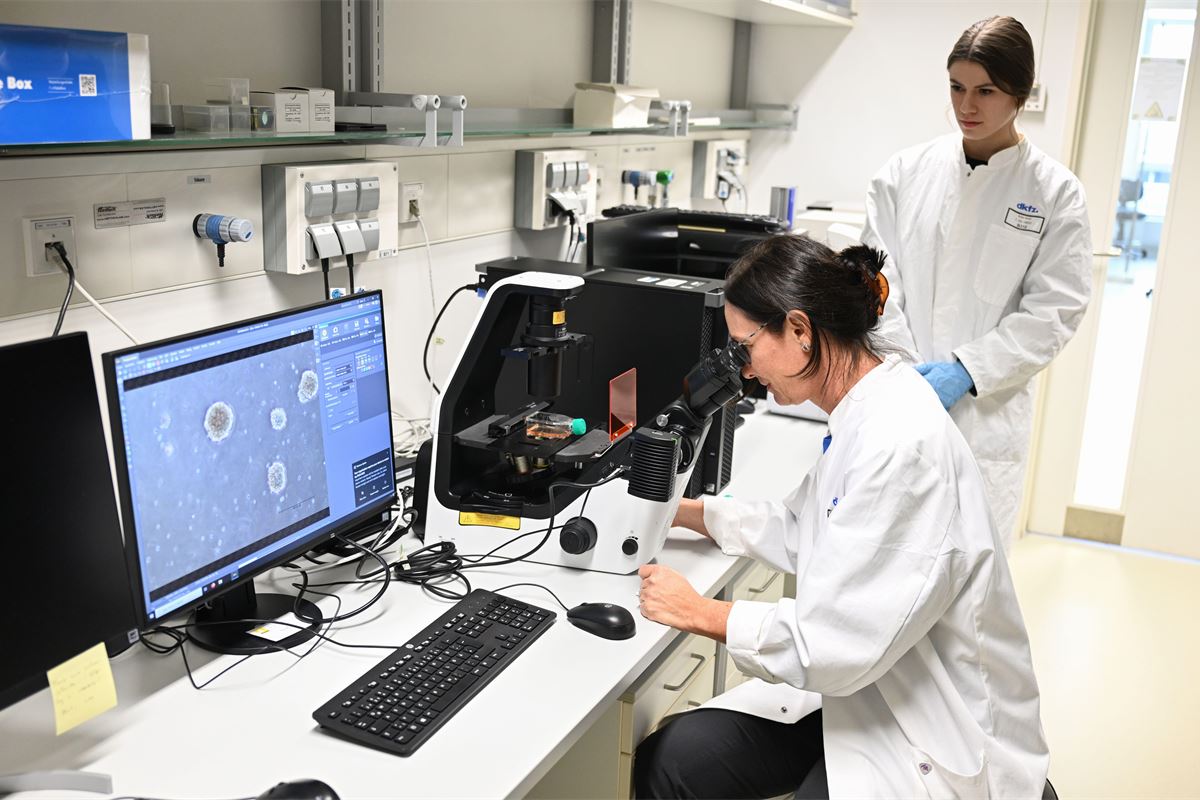 Op-ed: Combatir el tratamiento desigual del cáncer debe seguir siendo parte de la agenda de salud de la UE