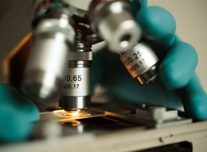 La Ley de Biotecnología es la oportunidad de Europa de liderar: hagamos que valga la pena