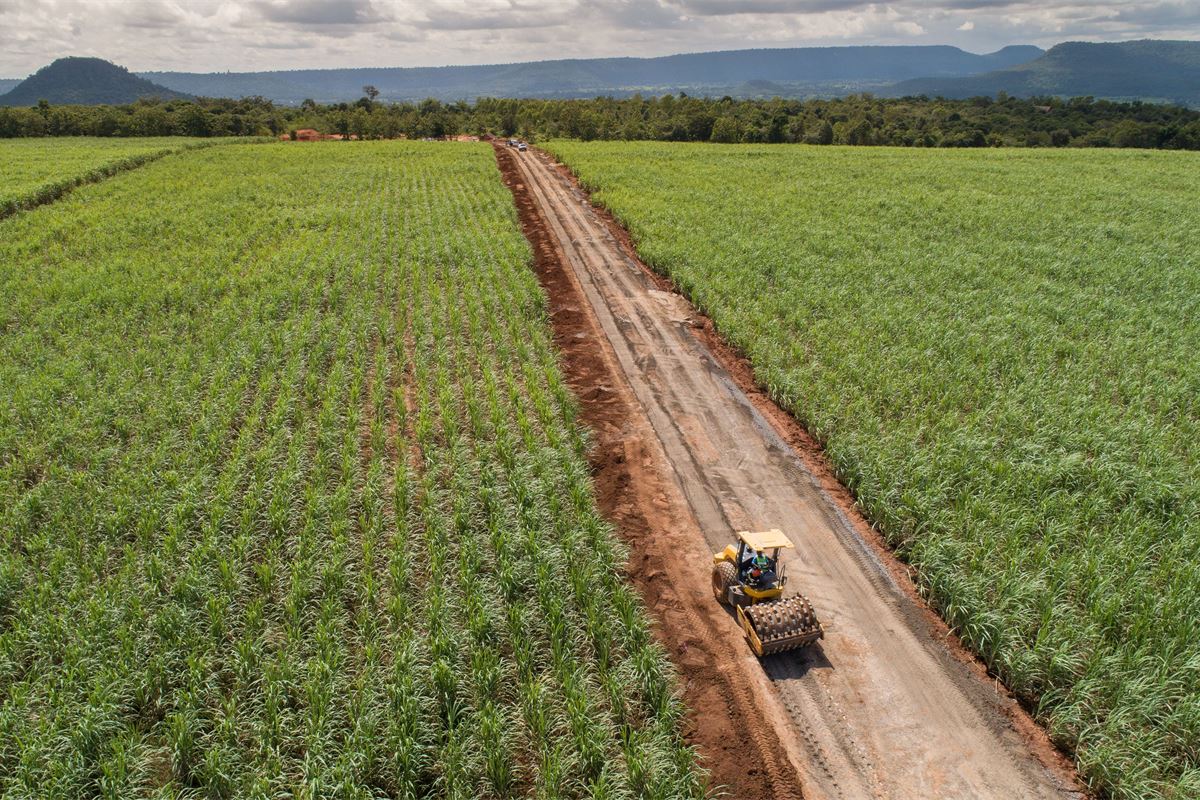 De la ambición biotecnológica al logro climático: por qué los bioplásticos son importantes ahora