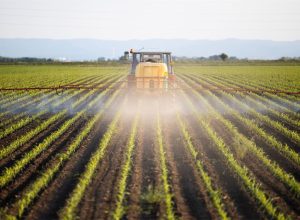 ¿Qué puede aportar la presidencia irlandesa de la UE a la agricultura europea?