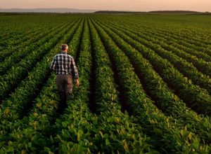 Europa tiene el canal de innovación. ¿Puede entregárselo a los agricultores?