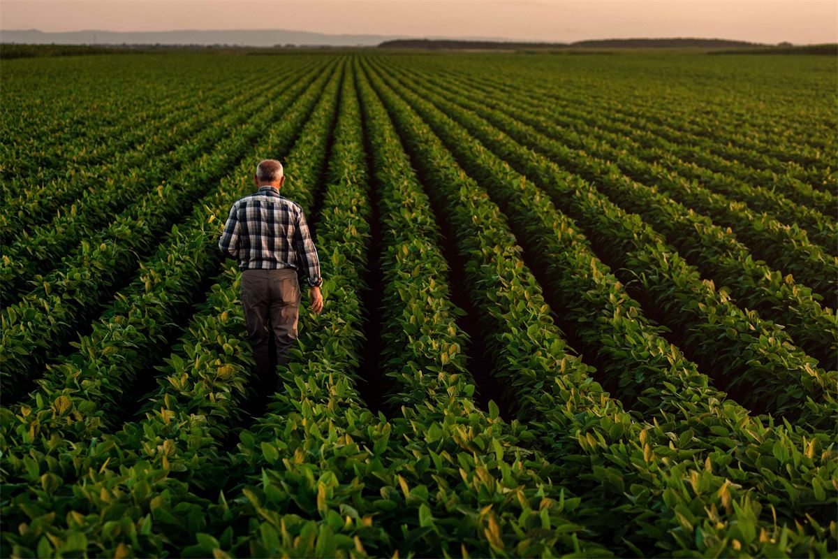 Europa tiene el canal de innovación. ¿Puede entregárselo a los agricultores?