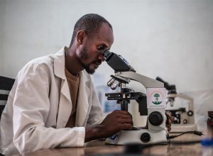 Un arma oculta en el arsenal de Europa contra las amenazas sanitarias relacionadas con el clima merece más atención